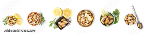 Set of tasty marinated mussels on white background, top view
