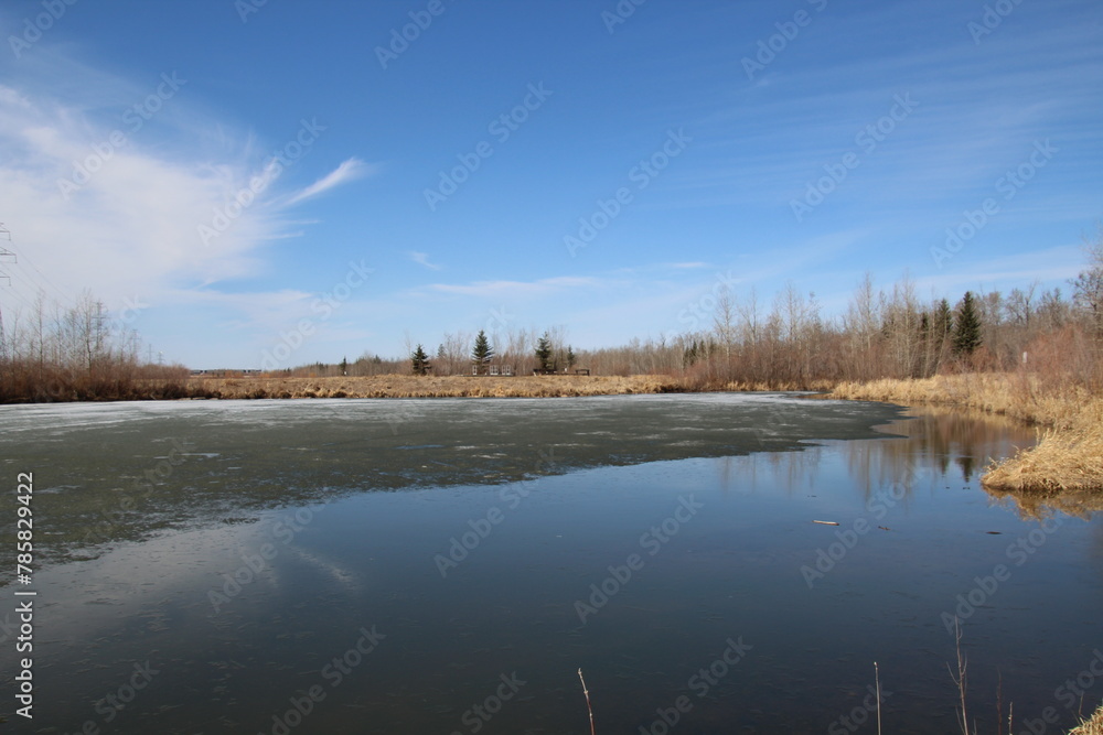 Spring On The Water, Pylypow Wetlands, Edmonton, Alberta