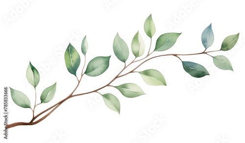 PNG Branch plant leaf transparent background