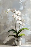 white orchid silver pot clear background screen thick strokes heavily dead plants holding gift