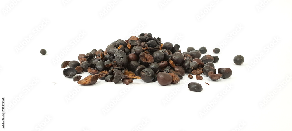 Obraz premium Palm kernal seeds with uncracked kernals and thick shells