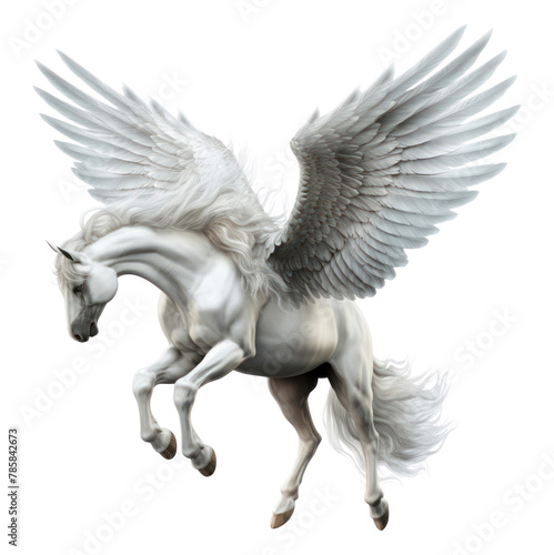 PNG Pegasus animal angel bird