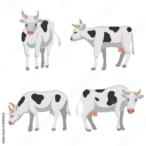 vector drawing white cows, farm animals isolated at white background, hand drawn illustration