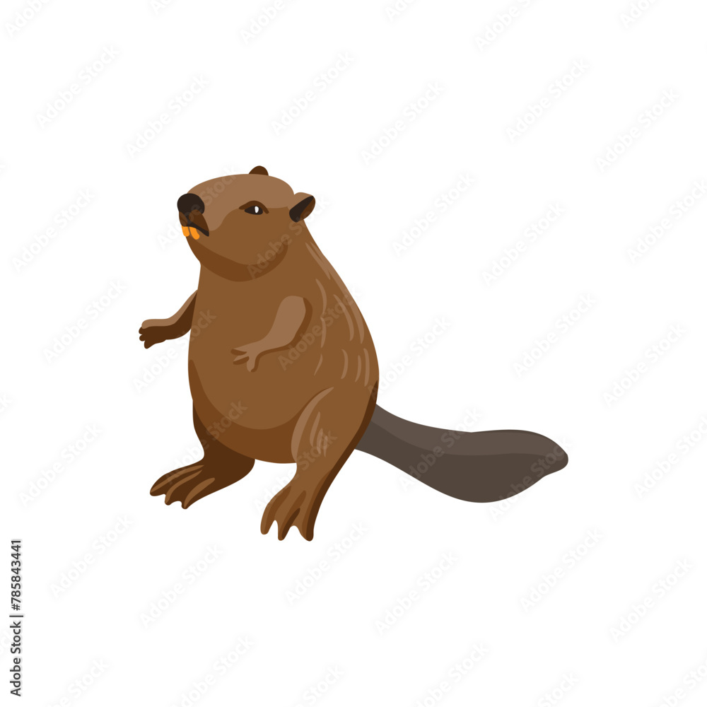 vector drawing beaver, cartoon animal isolated at white background, hand drawn illustration vector drawing beaver, cartoon animal isolated at white background, hand drawn illustration