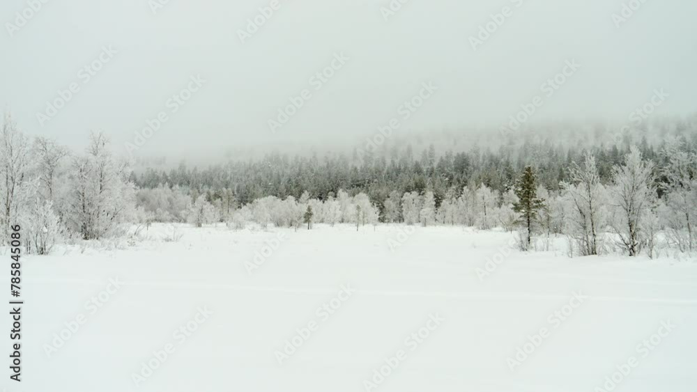Lapland Winter Landscape, Snow Covered Pine Trees and Frozen Lake PAN Lapland Winter Landscape, Snow Covered Pine Trees and Frozen Lake PAN