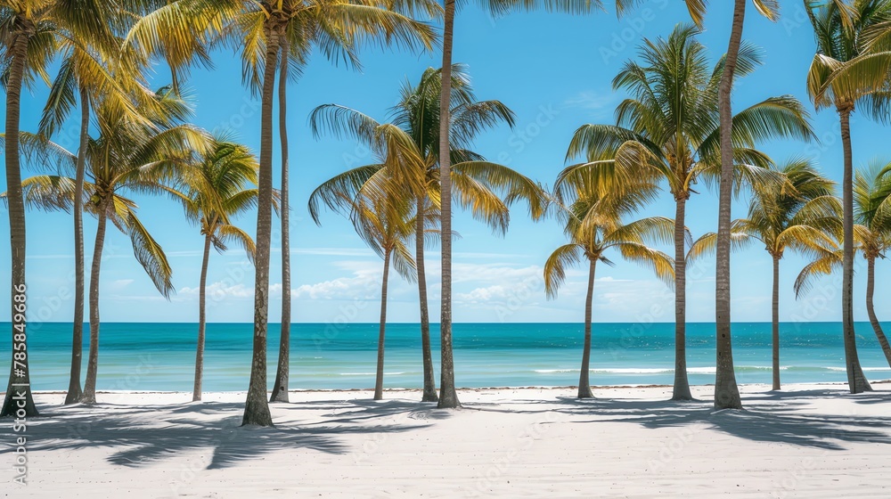 Beautiful beach with coconut trees Beautiful beach with coconut trees