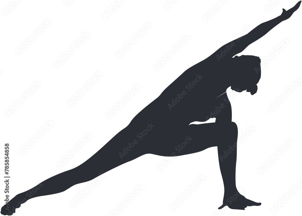 silhouette, vector, illustration, woman, horse, animal, black, dog, mammal, body, people, sport, pose, beauty, lady, person, wild, atletic, run, yoga,