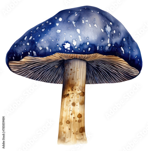 Indigo mushroom fungus agaric plant
