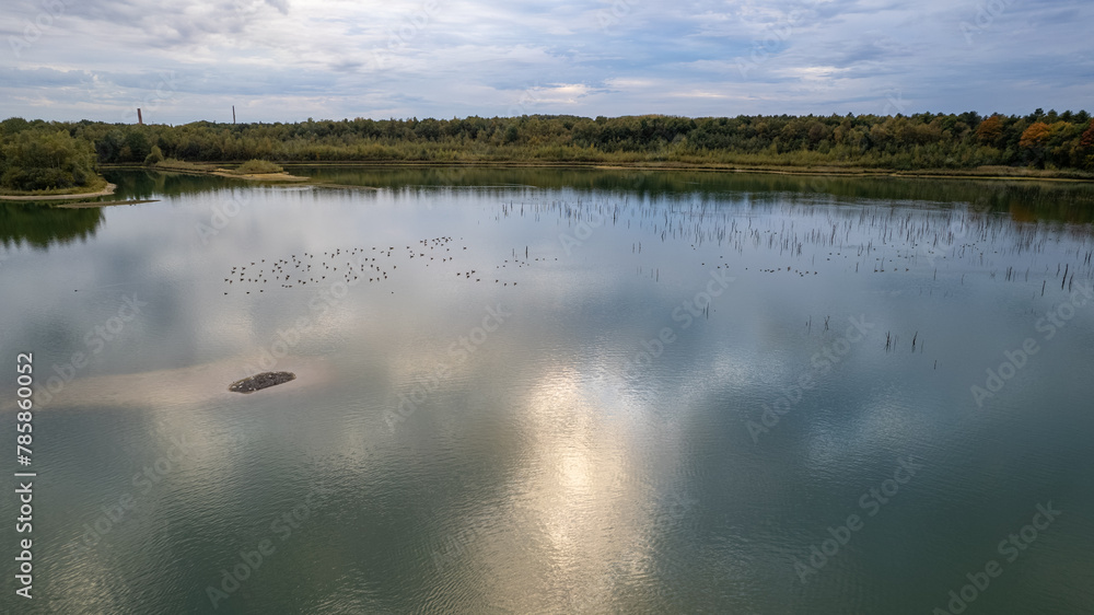 This serene image showcases a sunlit lake, the light delicately playing on the water's surface, creating a dazzling effect. Stump remnants punctuate the lake, adding a touch of mystery and history to This serene image showcases a sunlit lake, the light delicately playing on the water's surface, creating a dazzling effect. Stump remnants punctuate the lake, adding a touch of mystery and history to
