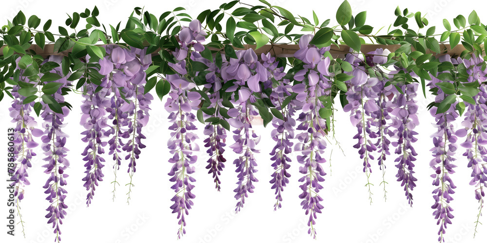 custom made wallpaper toronto digitalhanging garland wisteria flower cutout png isolated on white or transparent background