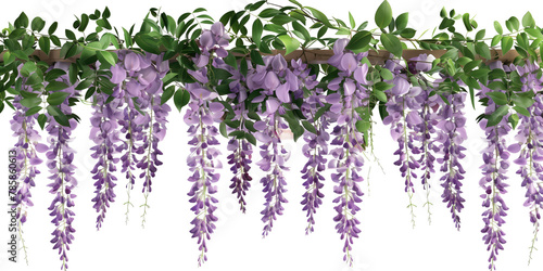 hanging garland wisteria flower cutout png isolated on white or transparent background