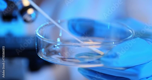 Microbiological analysis using sterile plate in petri glass photo