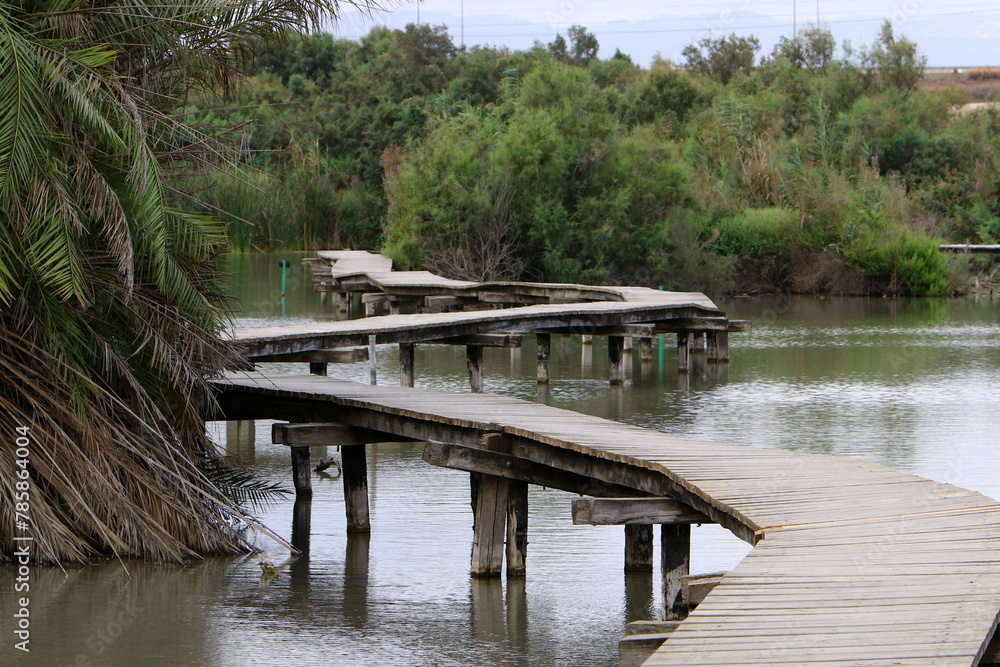 Ein Afek Nature Reserve in northern Israel. Wetland with an abundance of animals and accessible trails Ein Afek Nature Reserve in northern Israel. Wetland with an abundance of animals and accessible trails