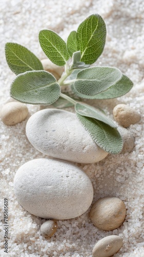 Wallpaper Mural Olive branch and zen stones on sandy background. A serene and peaceful image capturing an olive branch beside smooth stones on a textured sandy surface, symbolizing tranquility and nature simplicity Torontodigital.ca