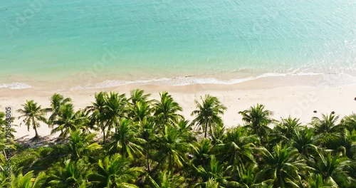 Aerial top view of coconut trees by the beach at WenChang China, Dongjiao yelin. photo