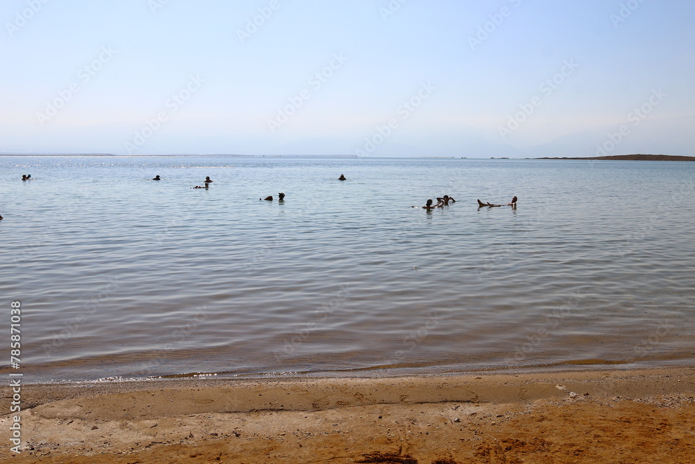 The Dead Sea is a closed, endorheic body of water in the Middle East between Israel and Jordan. The Dead Sea is a closed, endorheic body of water in the Middle East between Israel and Jordan.