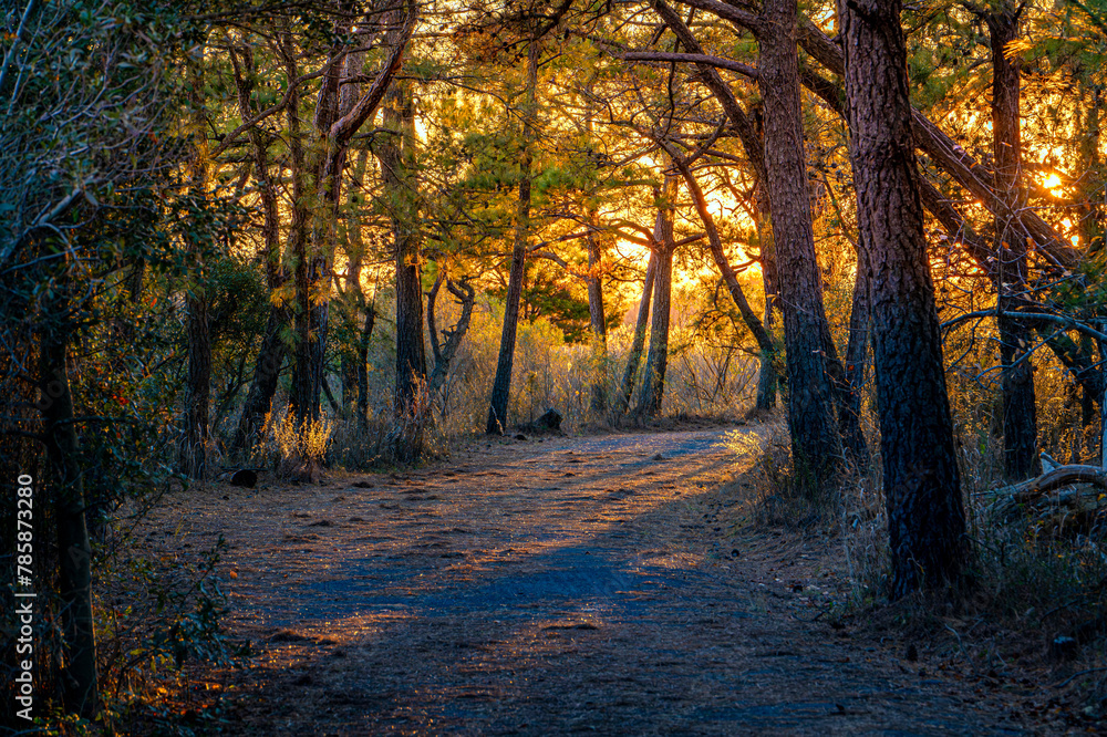 Obraz premium Henelopin State Park at Dusk