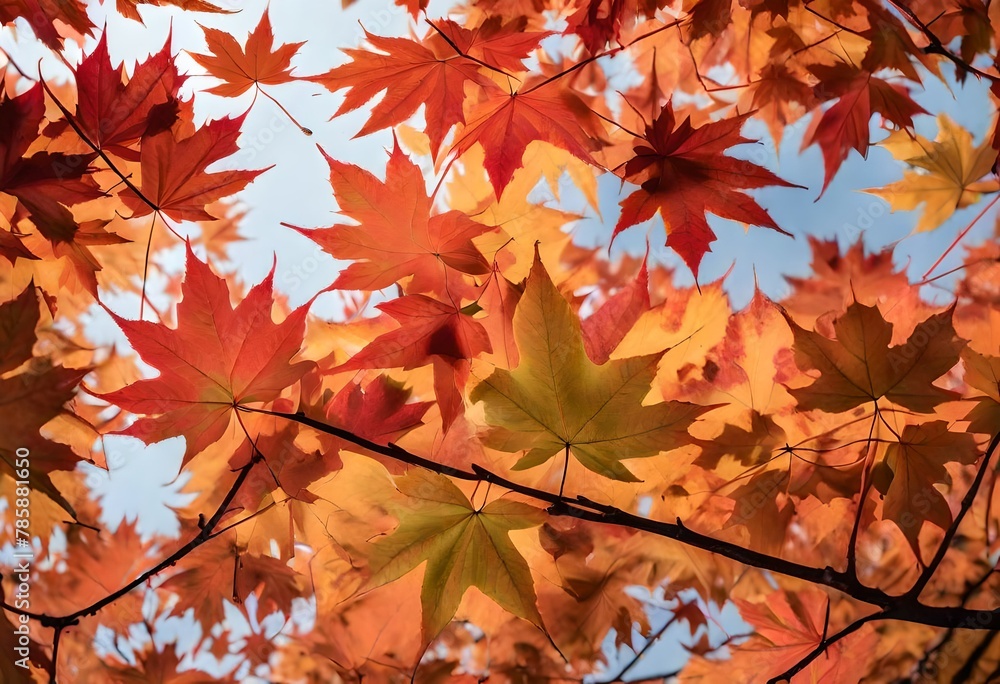 autumn leaves background autumn leaves background