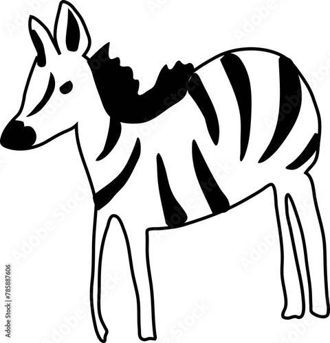 Hand drawn zebra illustration on transparent background. 