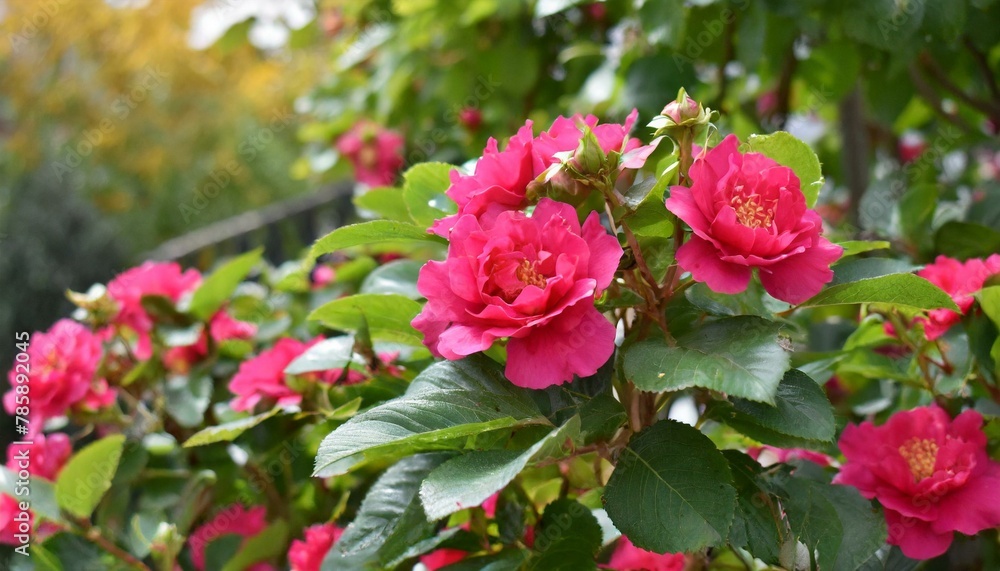 The Artistry of Nature: Pink Floral Splendor in Full Bloom