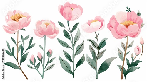 Pink peonies are illustrated with a watery aesthetic, featuring clean lines and soft pastel colors in white background.