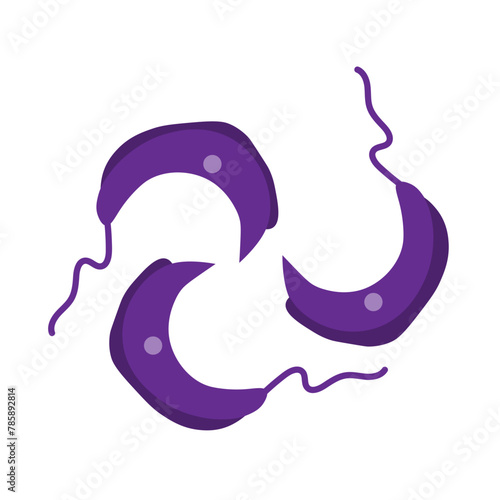 trypanosoma