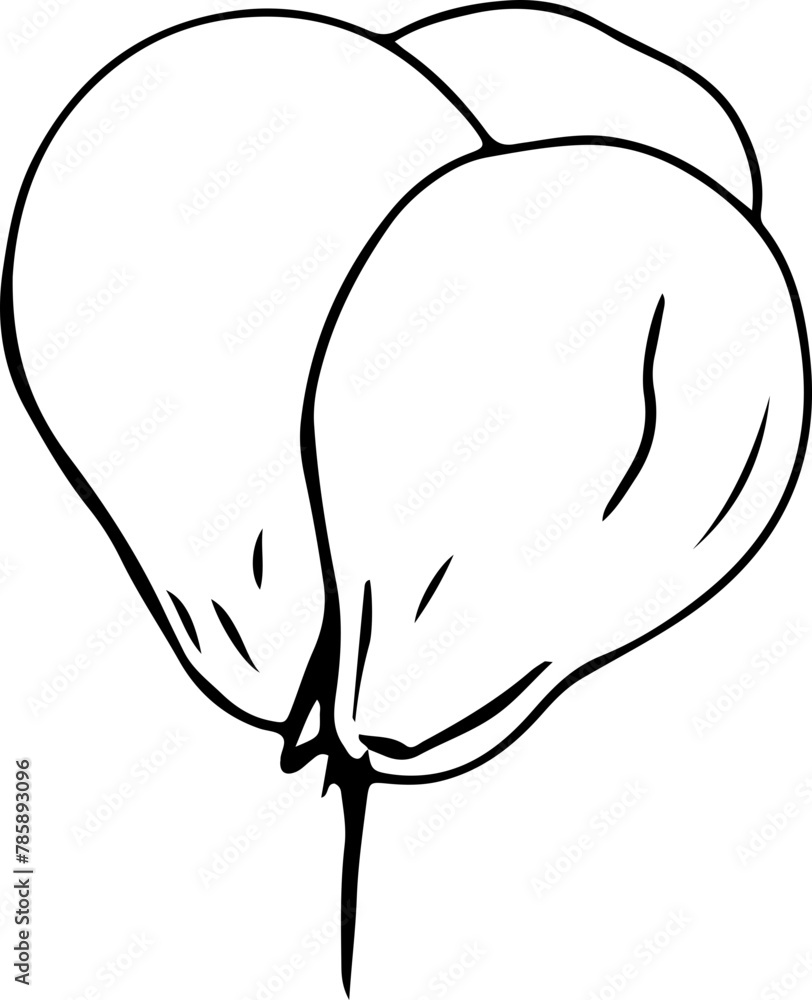 Hand drawn balloon illustration on transparent background.
Hand drawn balloon illustration on transparent background.