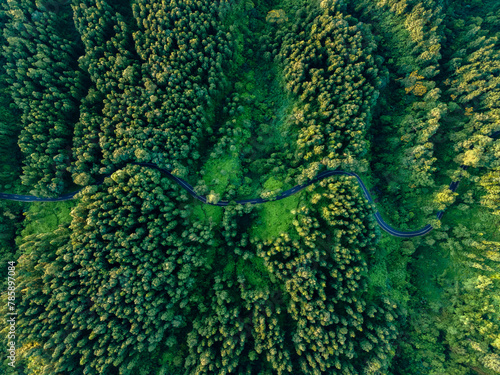 Winding Forest Road: A Captivating Aerial View © mafifp