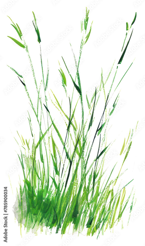 Naklejka premium PNG Meadow grass green vegetation agropyron plant