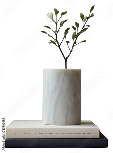 PNG Marble sculpture white vase with vintage book on a table plant publication houseplant © Rawpixel.com