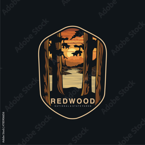 Emblem sticker patch logo illustration of Redwood National Park on dark background, forest vector badge