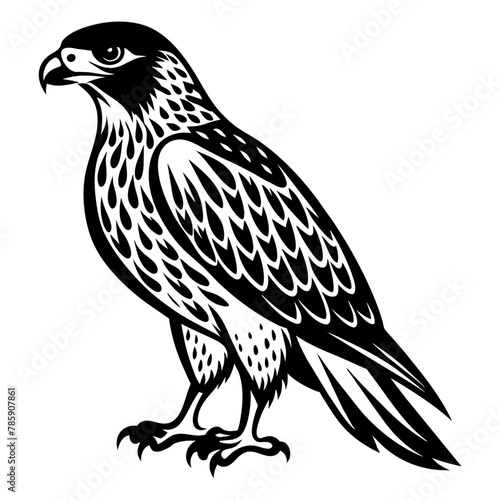 North American red tailed hawk  silhouette vector style , 