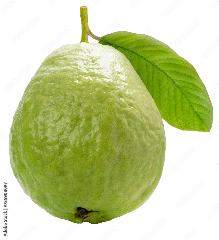 Obraz premium Pink guava fruit with leaf isolated on white background, Fresh Pink guava on White PNG file.