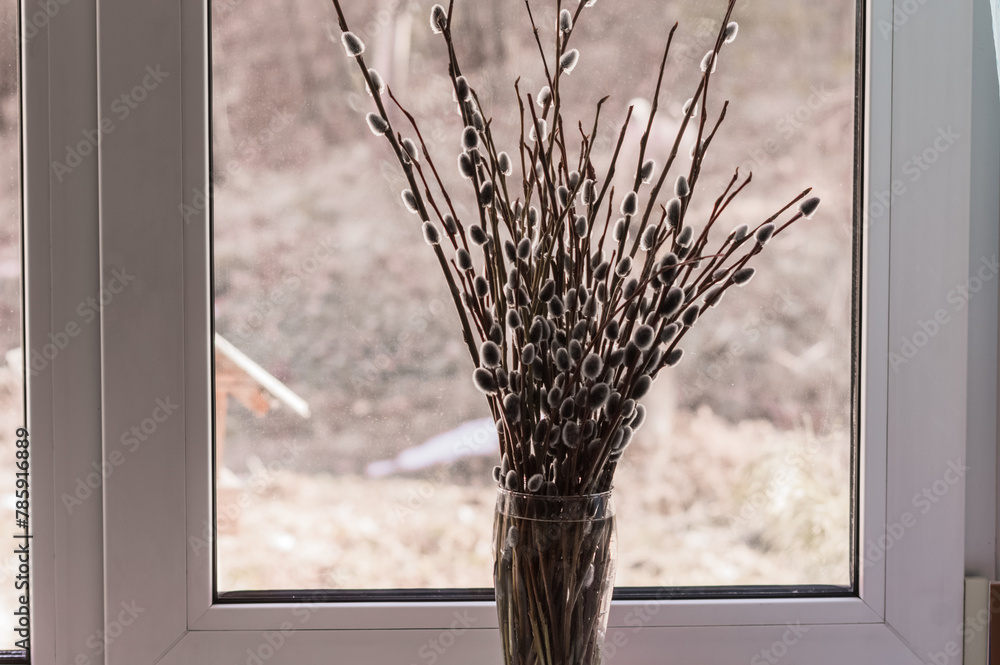 Pussy willow branches in a vase on the windowsill