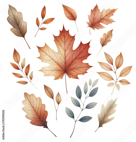 Autumn leaves collection isolated on transparent background. AI  photo