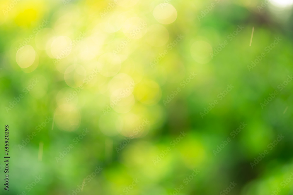 Captivating Eco-Friendly Designs: Abstract Green Leaf Bokeh Backgrounds with Nature's Bright Colors and Fresh Textures, A Blend of Summer Foliage and Sunlight for Vibrant Environmental Themes Captivating Eco-Friendly Designs: Abstract Green Leaf Bokeh Backgrounds with Nature's Bright Colors and Fresh Textures, A Blend of Summer Foliage and Sunlight for Vibrant Environmental Themes