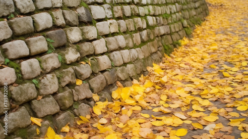 A mossy cobblestone wall at a slight angle to a autumn leaf-covered walkway; background image photo