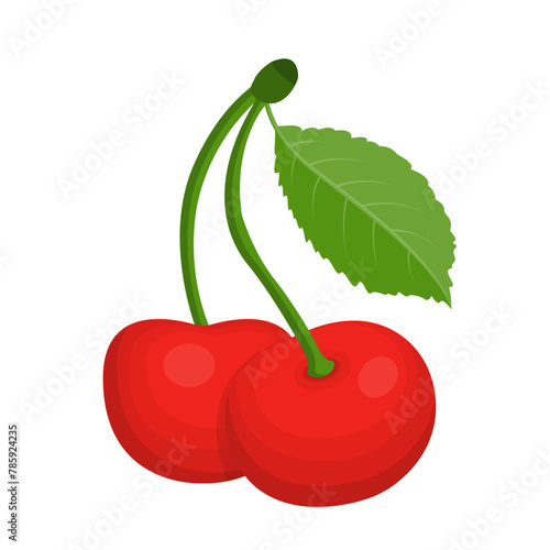 Fresh fruit cherry cartoon vector isolated illustration