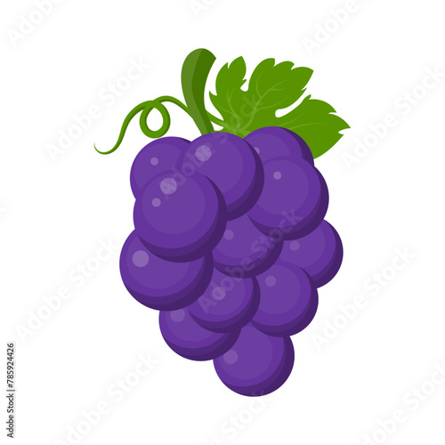 Fresh fruit purple grape with green leaf vine cartoon vector isolated illustration