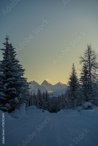 Icebergs in Alaska in January 2024 in USA