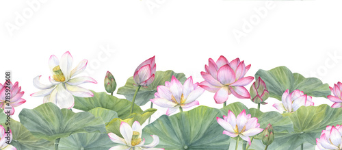 Lotus flower banner. White pink Water Lily, Indian Lotus. Vietnamese national flowers. Floral seamless pattern. Watercolor illustration for cosmetic design, ayurveda products, spa poster