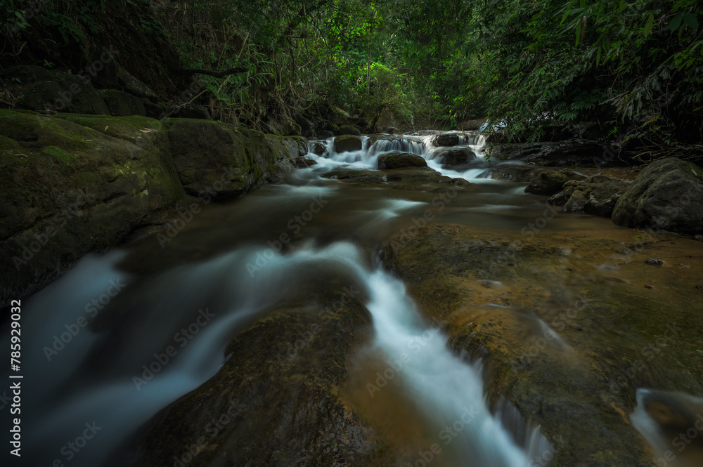 Meghalaya's Monsoon Magic: Living Bridges, Milky Way, Waterfalls, Flora and Fauna Meghalaya's Monsoon Magic: Living Bridges, Milky Way, Waterfalls, Flora and Fauna