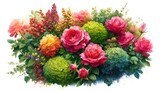 Watercolor Painting of Shrub Rose, Boxwood and Columnar Juniper Flowers
