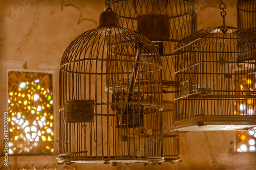 Photography old bird cages & 2 birds