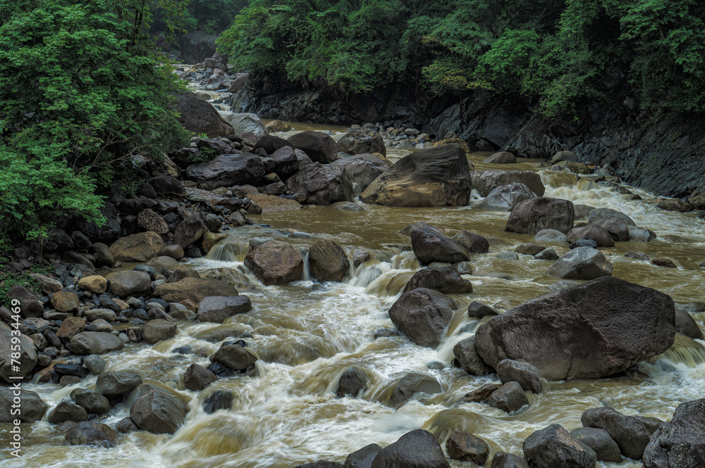 Meghalaya's Monsoon Magic: Living Bridges, Milky Way, Waterfalls, Flora and Fauna Meghalaya's Monsoon Magic: Living Bridges, Milky Way, Waterfalls, Flora and Fauna