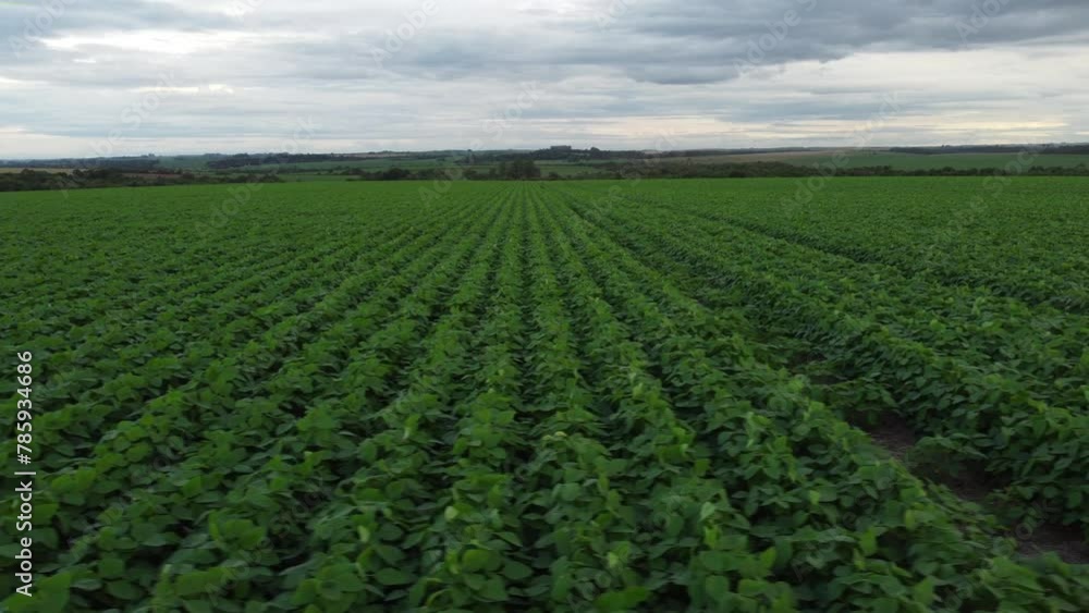 Soybeans fields in Brazil. Real farm in the interior of Mato Grosso. Aerial image.