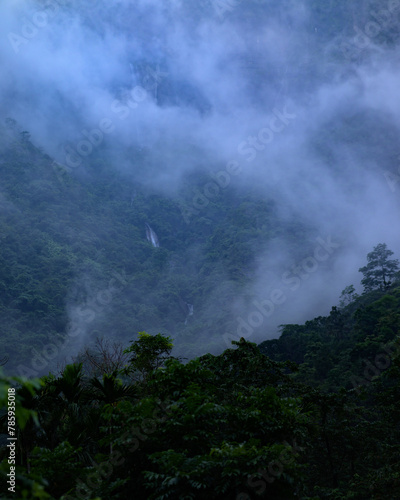Meghalaya's Monsoon Magic: Living Bridges, Milky Way, Waterfalls, Flora and Fauna