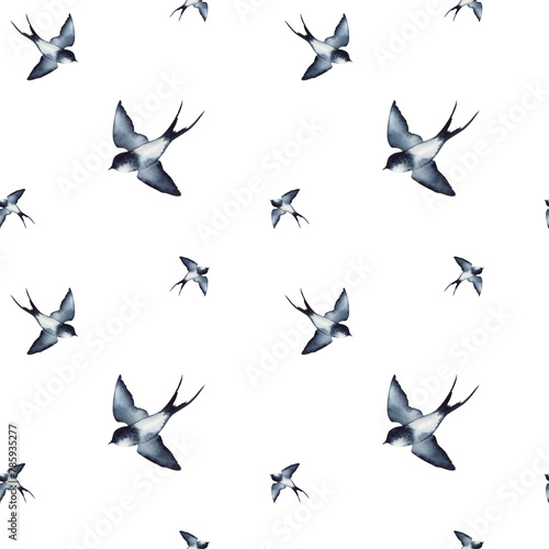 Swallow  martlet  seamless pattern  background. Clear white sky. Barn swallow flying  wings spread. Hirundo rustica on white background. Wildlife. Tattoo design  watercolor art  bird set  wild animals