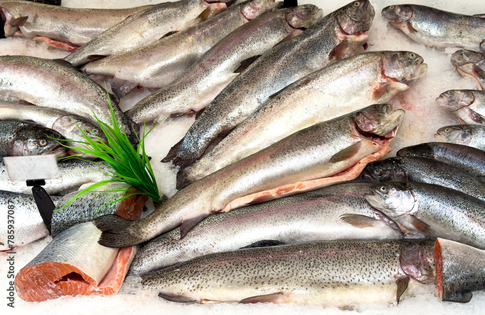 Fototapeta premium Trout fish in ice on a counter in a market as a background