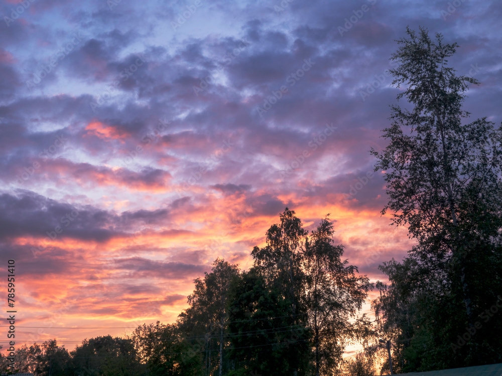 Beautiful sunset with pink clouds.